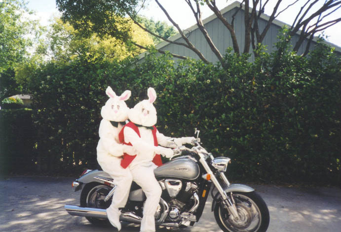 bunnies_motorcycle